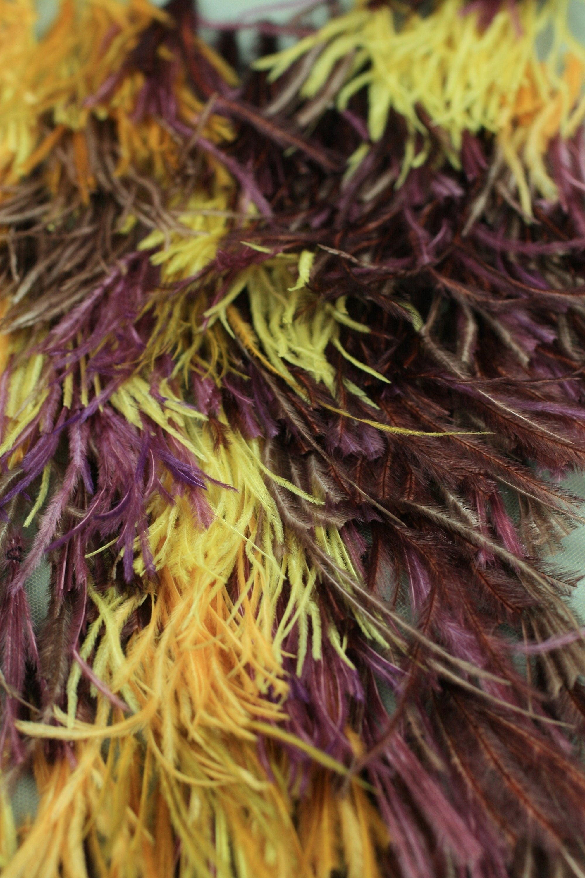 A118 - Feather on Tulle Applique