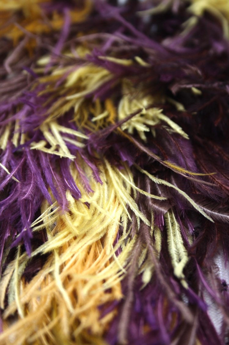 A118 - Feather on Tulle Applique