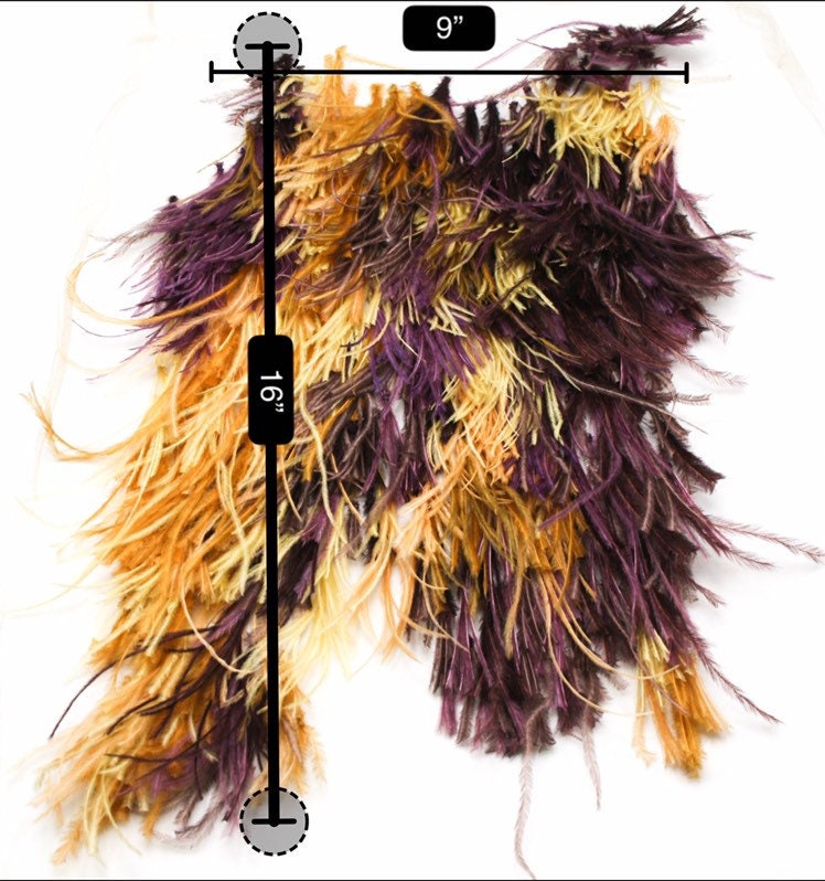 A118 - Feather on Tulle Applique